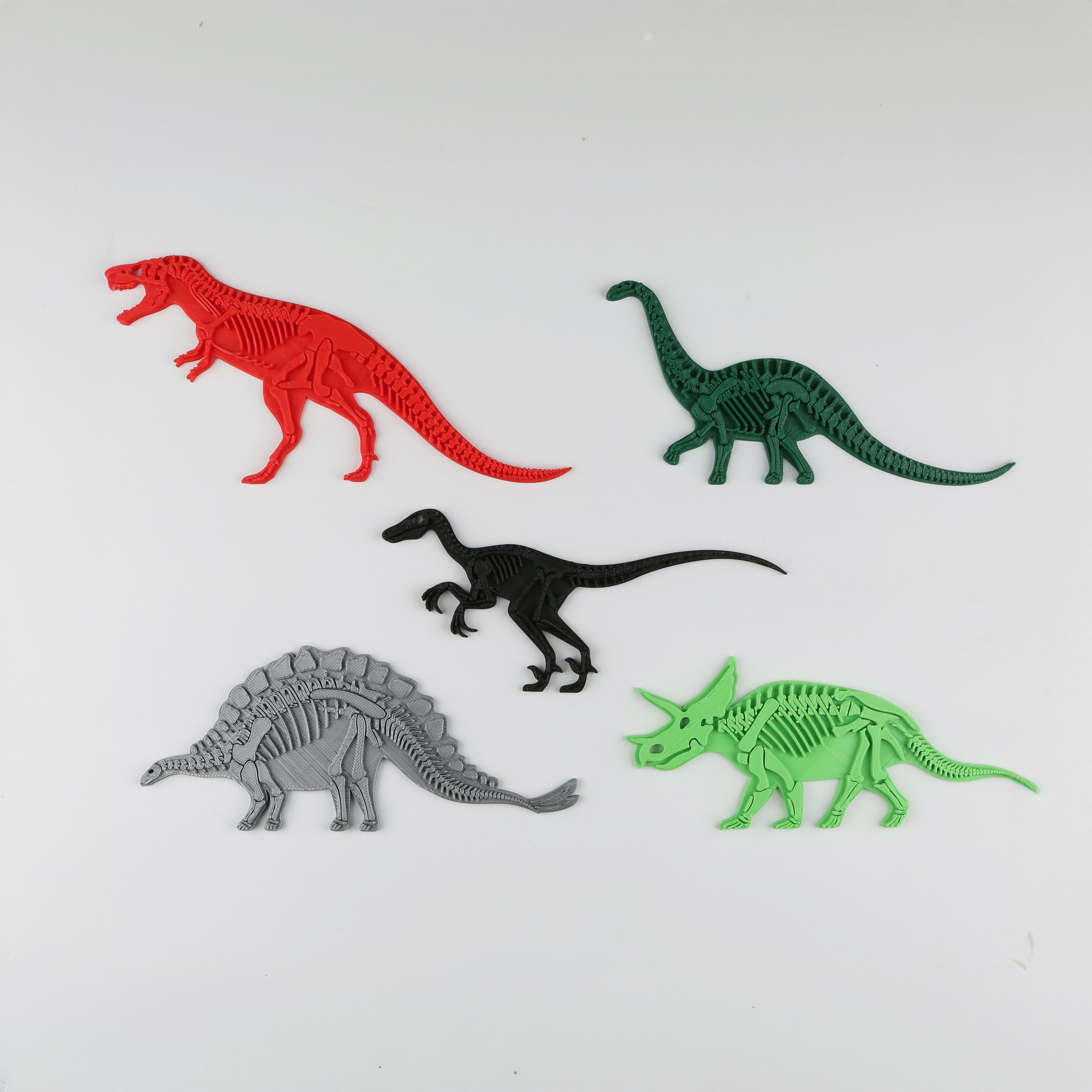 Dinosaur Wall Art