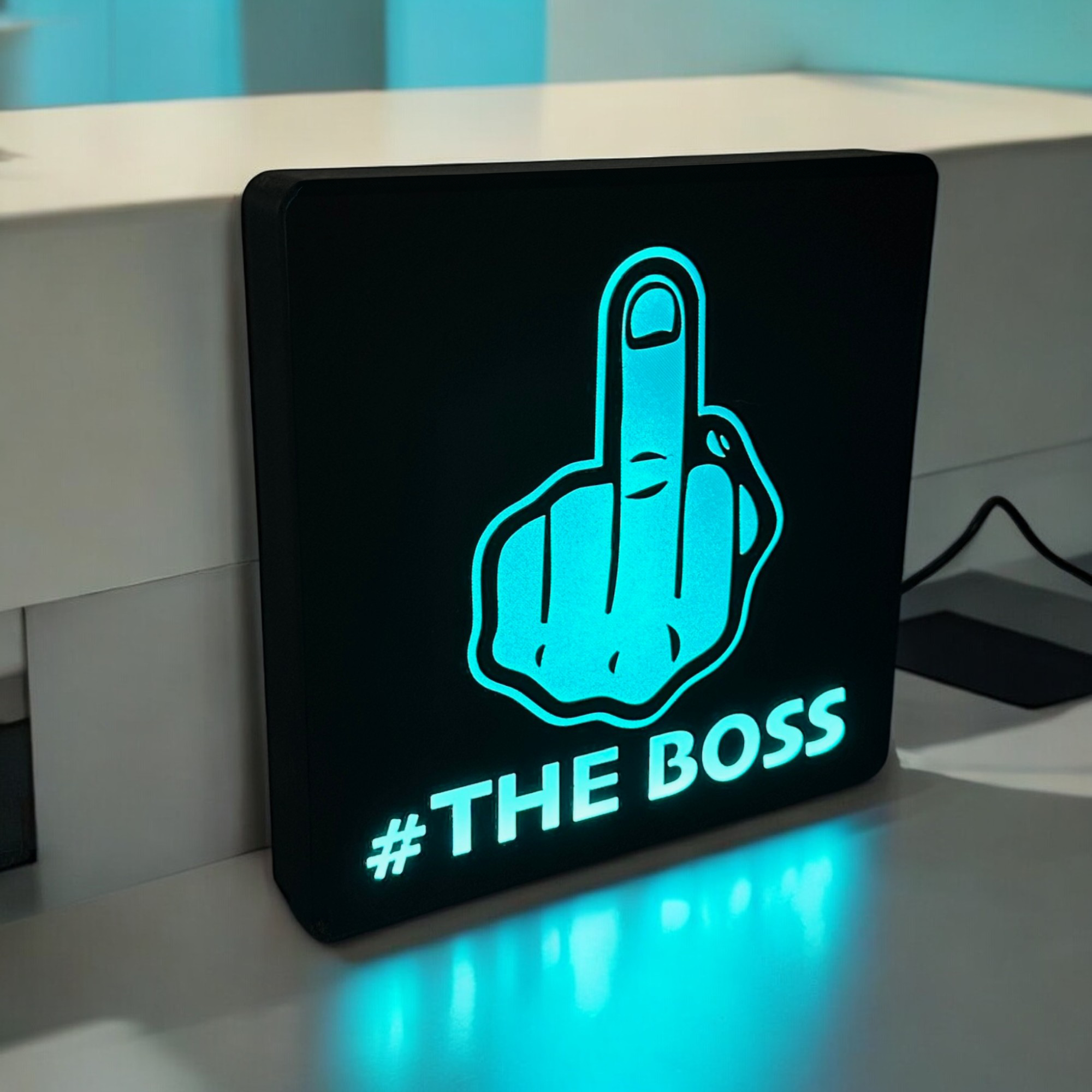 Personalised Middle Finger LED Lightbox